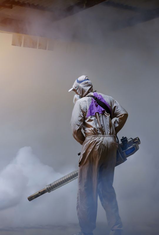 Pest Fumigation Service in San Jose, CA