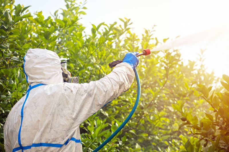 Pest Fumigation Service in Fort Myers, FL