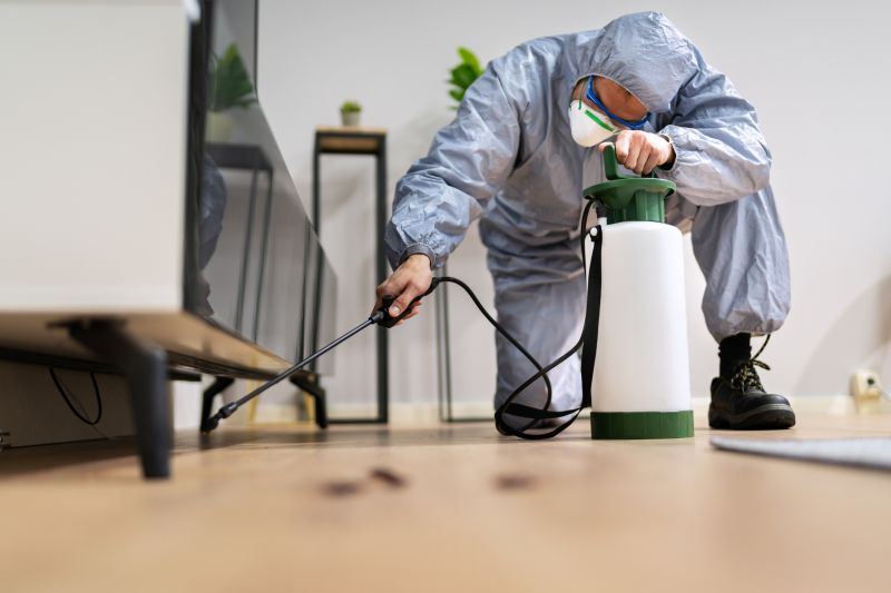 Rat Fumigation Service in Cumming, GA