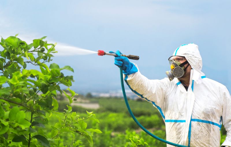 Spider Fumigation Service in Phoenix, AZ