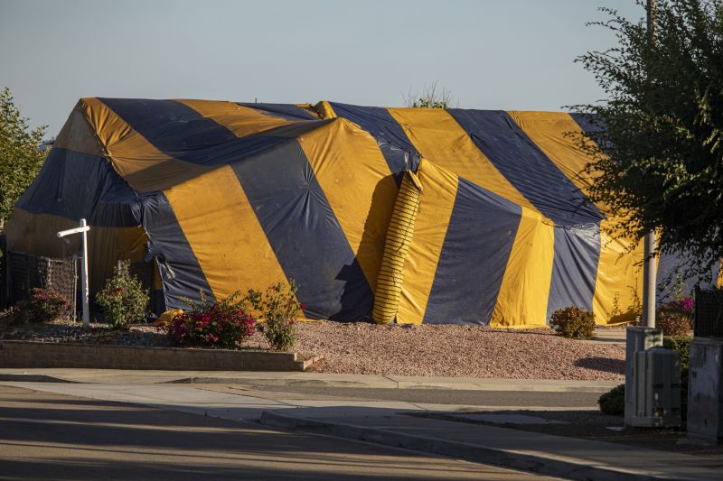 Termite Tenting in Fredericksburg, VA