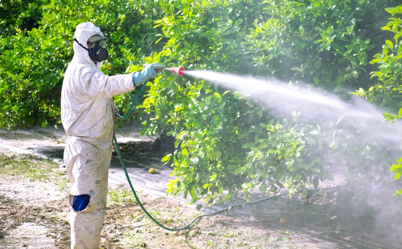Commercial Fumigation in Bellingham, WA