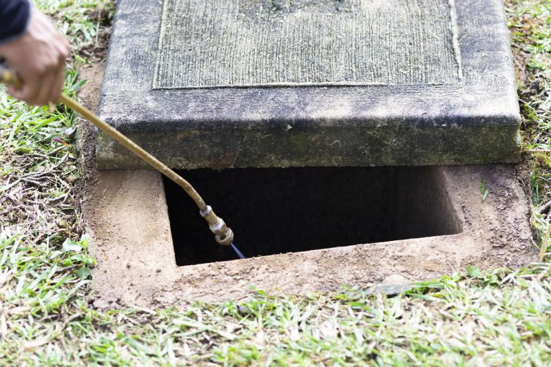 Pest Fumigation Service in Cumming, GA