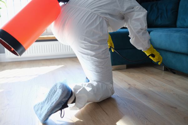 Mouse Fumigation